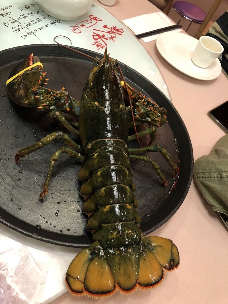 Steamed Whole Lobster